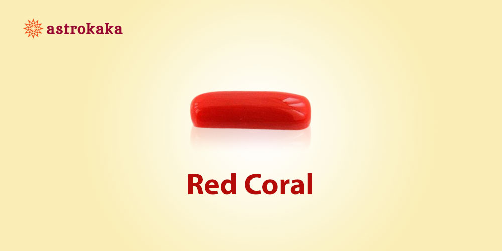 Red Coral Stone